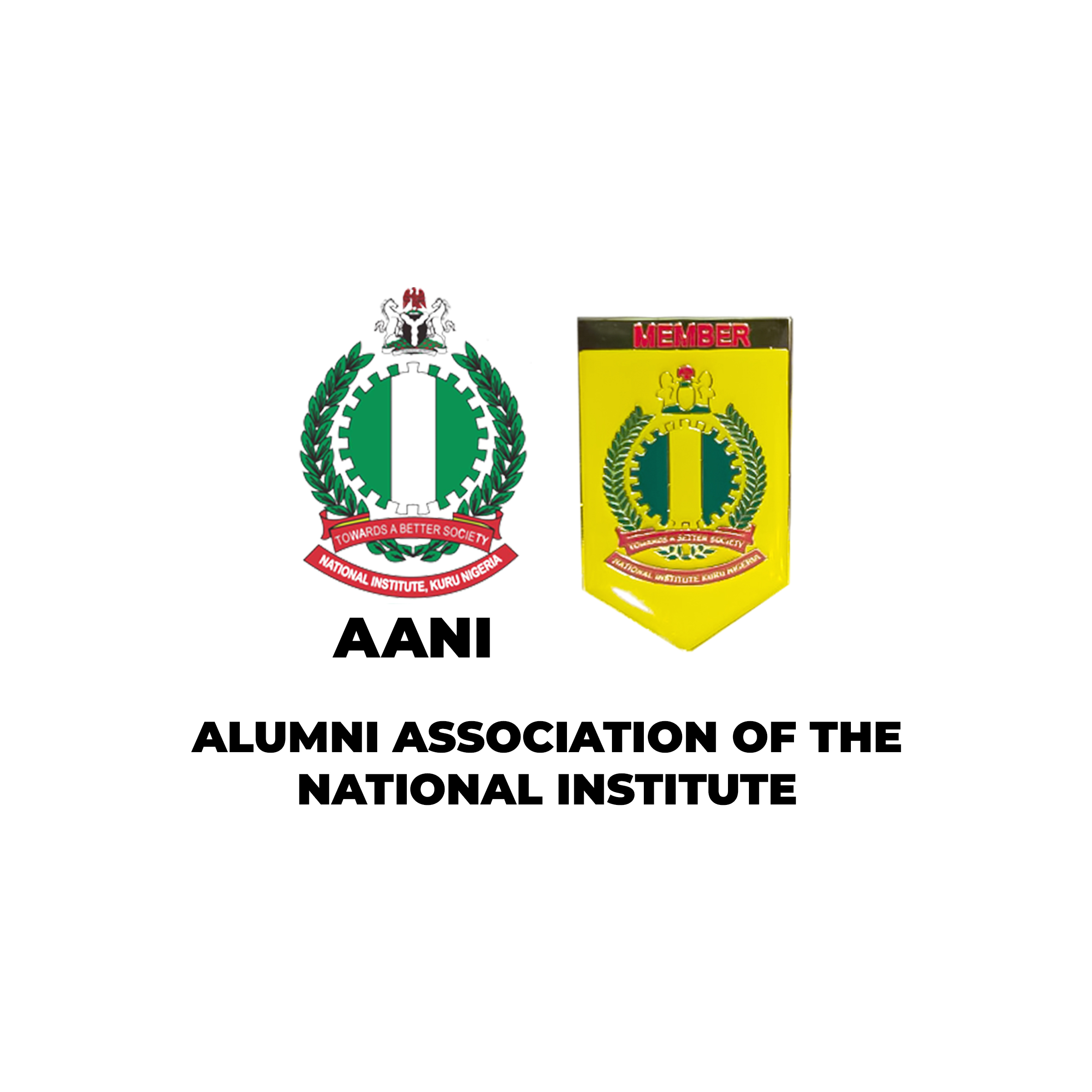 Nigeria @ 65: AANI’s Call for Unity, Security, and Collective Renewal